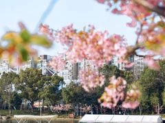 -新江湾城公园