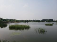 -东郊湿地公园