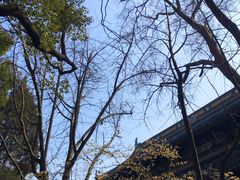 -西园戒幢律寺