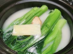 鱼汤煲菜心-小東馆(东纵路店)