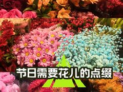 -双季花艺园艺市场(浦东店)
