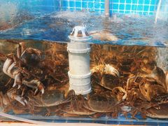 -海天盛宴潮汕蒸汽海鲜高端自助形象店