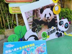 -灵玲国际马戏城