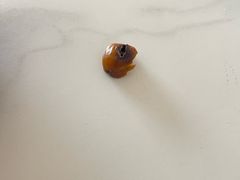 -秋栗香(地安门店)