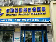 -总动员动物医院(宝丰院店)