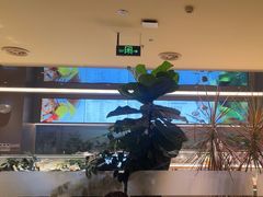 -Bco豆库(星耀天地店)