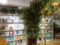 -明洞造型精品烫染