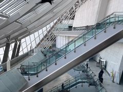 -天津自然博物馆