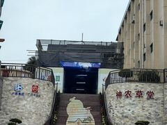 -广州神农草堂中医药博物馆