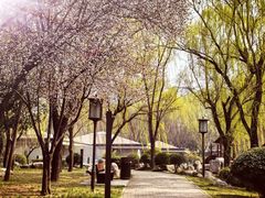 -唐城墙遗址公园