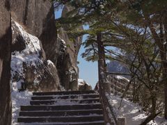 -黄山风景区