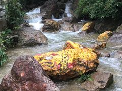 -南海湾森林生态园