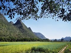 -万峰林风景区