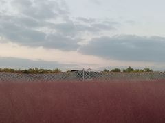-嘉北郊野公园