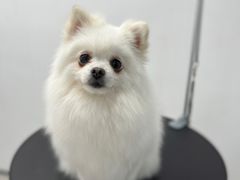 -comecome来吧宠物(奥克斯中心店)