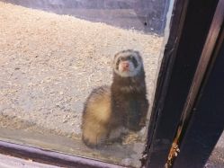 -酷嗒动物文化乐园(cutezoo西溪乐天城店)