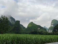 -明仕田园