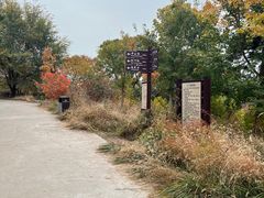 -北京西山国家森林公园