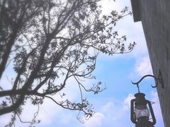 -窑湾古镇