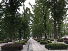 -百林公园-两江幸福广场