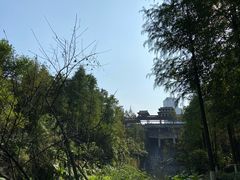 -重庆彩云湖湿地公园