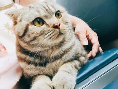 -菲尔斯特宠物医院