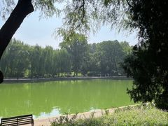 -团结湖公园