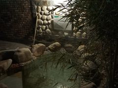 -御林汤泉