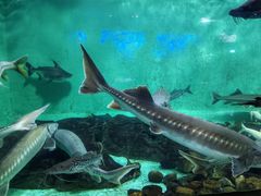 -太平洋海底世界