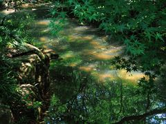 -杭州半山国家森林公园