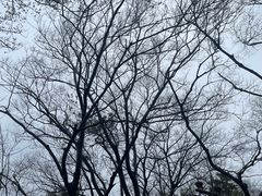 -九华山公园