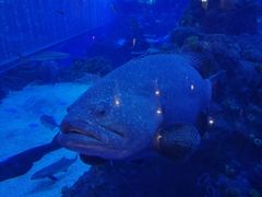 -成都浩海立方海洋公园