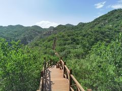 -大岭沟猕猴桃谷风景区