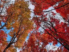 -长春市南湖公园