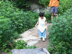 -抱龙峪