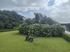 -济州森林小火车生态公园