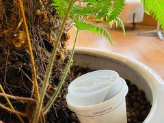 -COFFEEOLOGY咖啡学(天银店)