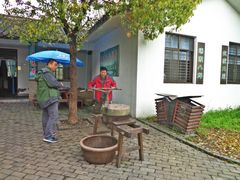 -溱湖国家湿地公园