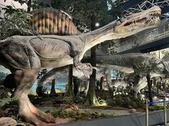 -湖南省地质博物馆