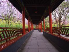 -南汇桃花村