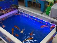 -万达广场(惠州大亚湾店)