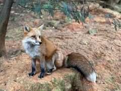 -云南野生动物园