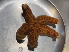 -船梆煮•蒸汽海鲜·生腌干蒸(五四广场店)