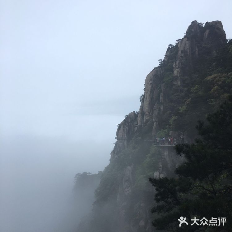 人间四月芳菲尽 花台杜鹃始盛开