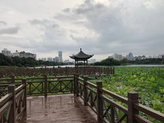 -南宁南湖公园