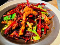 -毛辣果·酸(OHA复兴西路店)