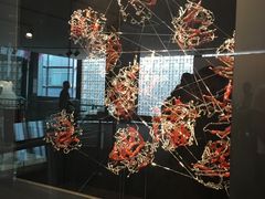 -康宁玻璃博物馆