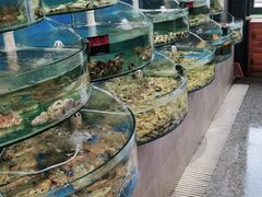 水产区-蓝珊甄选海鲜自助·火锅大排档(近阿那亚店)