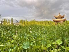 -尚湖风景区