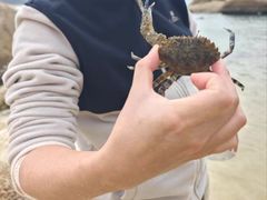 -惠州金海湾嘉华度假酒店